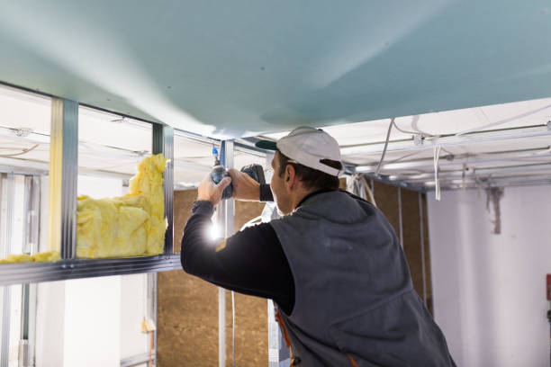 Best Insulation for Specific Applications in Citrus Park, FL